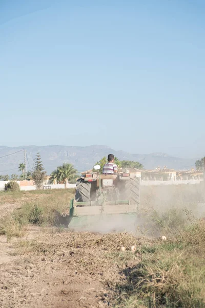 Genç çiftçi küçük arazisinde bir traktörle toprağı eşeliyor.