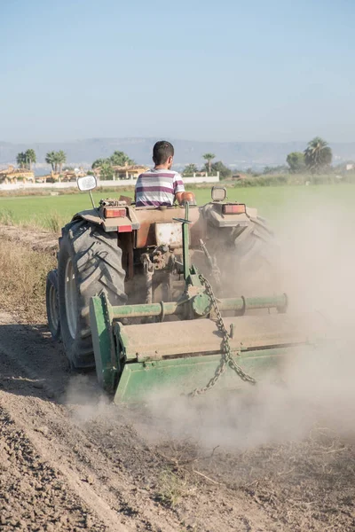 Genç çiftçi tarlayı kırmızı bir traktörle sürüyor..
