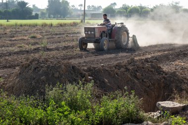 Genç çiftçi traktöründe tarlayı işliyor. Etrafı toz bulutuyla çevrili.