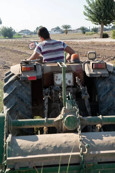 Genç çiftçi traktörüyle tarlayı işliyor. .