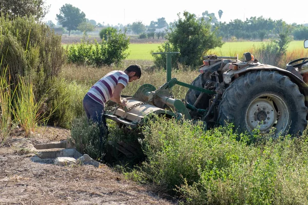 Genç çiftçi meyve bahçesinin ekimine başlamak için çiftlik aletlerini hazırlıyor..