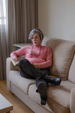 Kanepede kitap okuyan kıdemli bir kadın. Hobi kavramı.