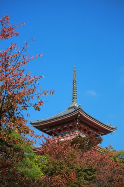 Japonya seyahat konum