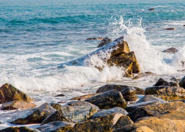 temiz okyanus dalgası