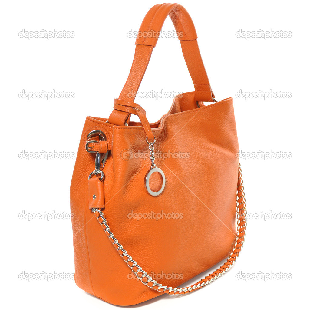 Luxury leather female bag isolated on white