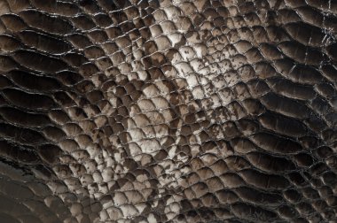 Yılan deri desen arka plan