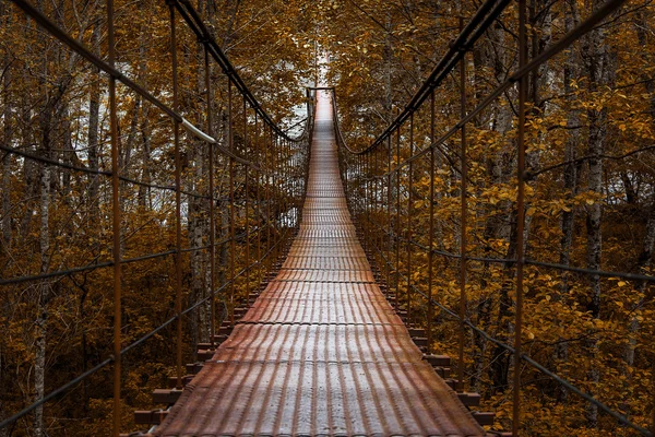 Hängebrücke — Stockfoto