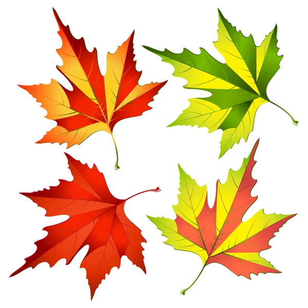 Jesienią liście — Wektor stockowy