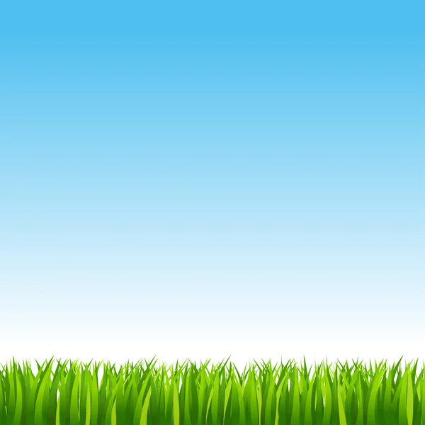 Векторная иллюстрация зеленой травы и голубого неба — стоковый вектор