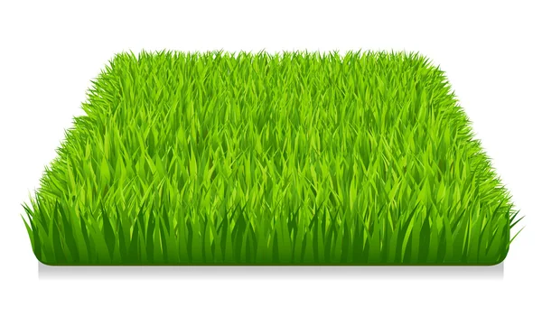 Groen gras — Stockvector