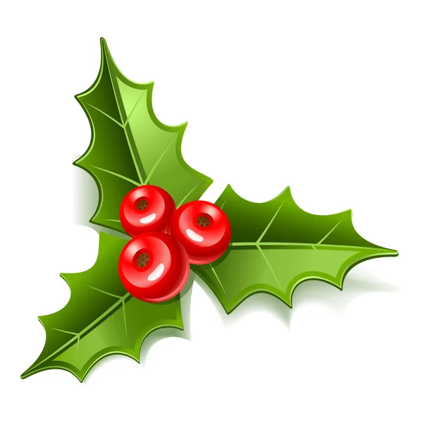 Ikona vánoční jmelí — Stockový vektor