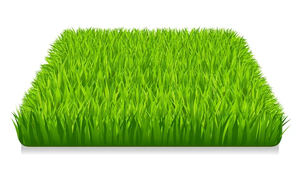 Зелена трава Ліцензійні Стокові Вектори