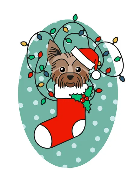 Yorkshire terrier i tomte hatt i julstrumpa — Stock vektor