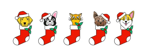 Mascotas como regalo de Navidad. Humor de Navidad — Vector de stock