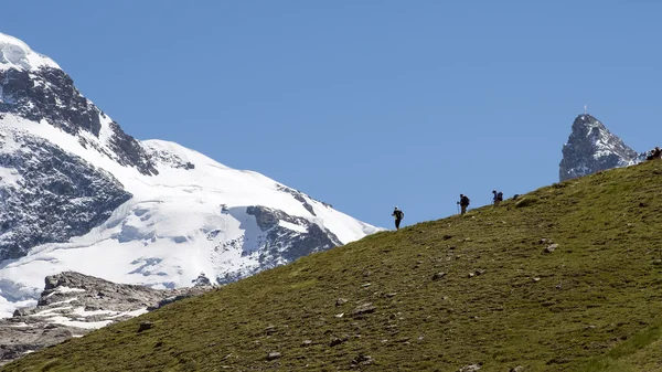 Randonnées pédestres en montagne alpine en été — Photo