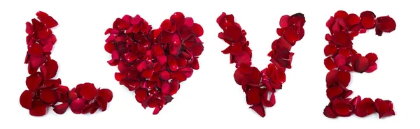 Rose ile yazılmış aşk yapraklar