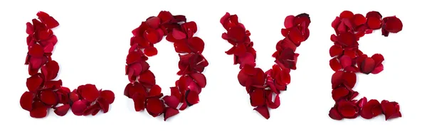 Rose ile yazılmış aşk yapraklar