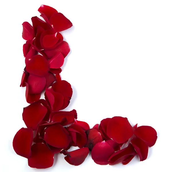 Letter L in rose leafs — Stock Photo, Image