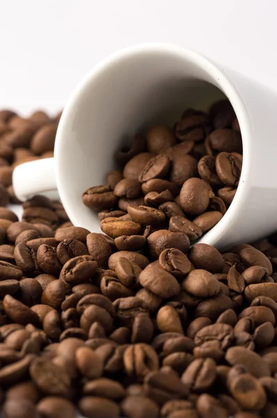 Grains de café brun torréfiés — Photo
