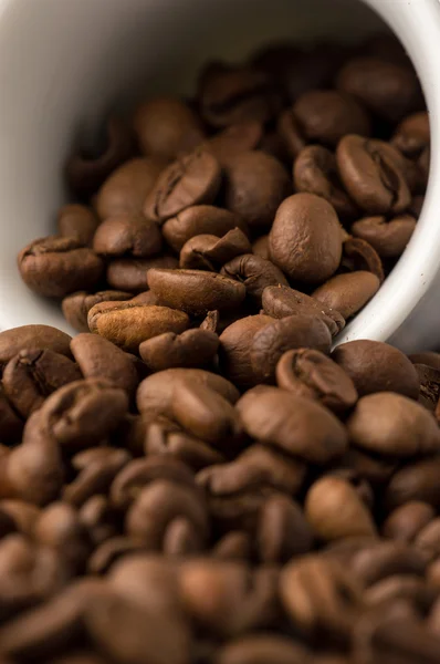 Жареный коричневый кофе в зернах — стоковое фото