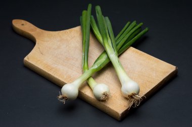 Soğan
