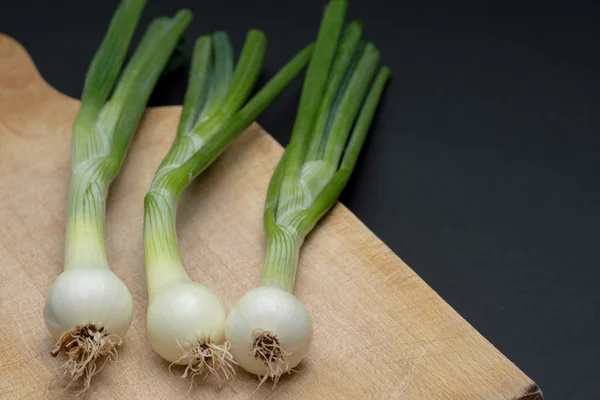 Onion — Stock Photo, Image