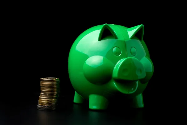 Piggy Bank with money — Stock Photo, Image