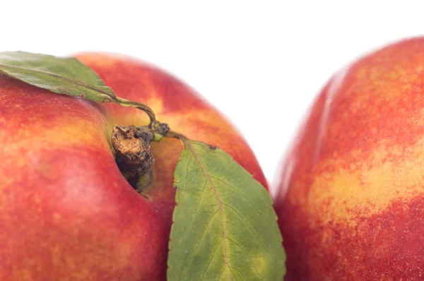 Nectarine friut op witte geïsoleerde achtergrond — Stockfoto