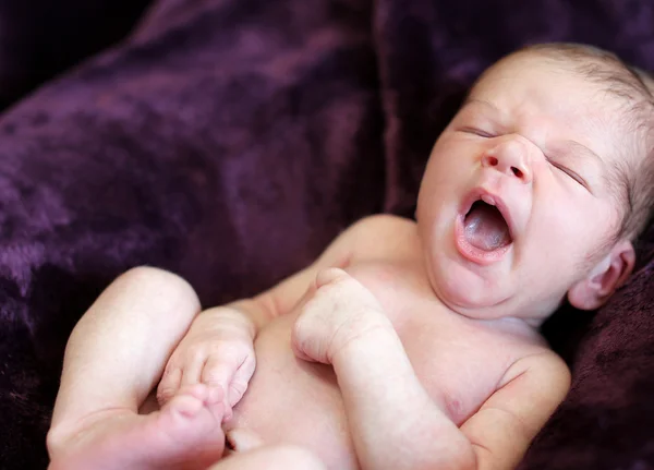 Pasgeboren baby — Stockfoto