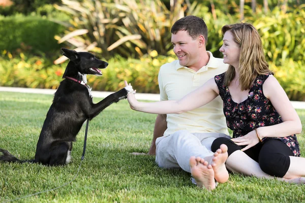 Casal e cão — Fotografia de Stock