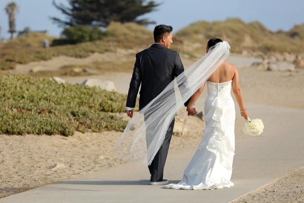 Bride and groom — Stock Photo, Image