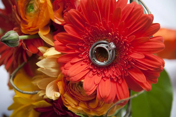 Anillos de ramo —  Fotos de Stock