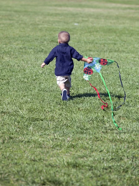 Pojke och kite — Stockfoto