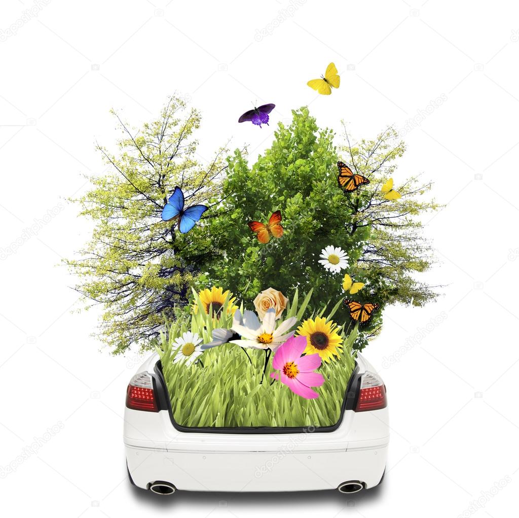 Eco vehicle