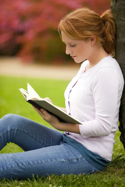 Mujer leyendo —  Fotos de Stock