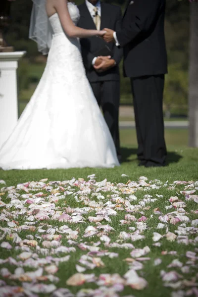 Wedding day — Stock Photo, Image