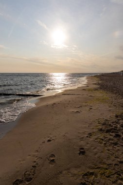 Yazın birçok plaj sandalyesi olan Kullanım Adası 'ndaki Zempin plajı manzarası.