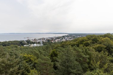 Ağacın tepesinden Polonya 'daki Swinemnde-Wollin' e doğru yürüyor. Yazın Kullanım Adası 'nda..