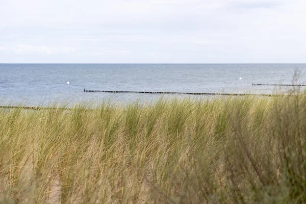 夏天在小海滨度假胜地Zempin俯瞰波罗的海沙丘的景色 — 图库照片