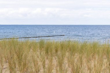 Yaz mevsiminde küçük sahil beldesi Zempin 'deki Kum tepelerinin üzerinden Baltık Denizi manzarası
