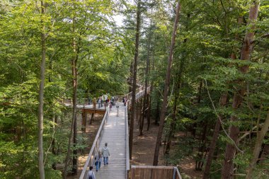Heringsdorf 'taki yeni ağaç tepesi yürüyüşü bir tatil beldesi. 