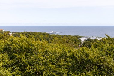 Ağacın tepesinden Heringsdorf 'taki rıhtıma doğru yürüme manzarası. Tatil zamanı kullanım adasında..