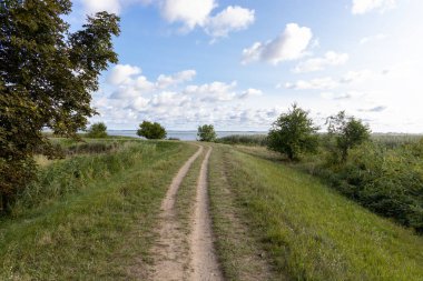 Güneşli bir günde, Zempin 'deki Achterwasser adasında yürüyüş yolunda tek başına.