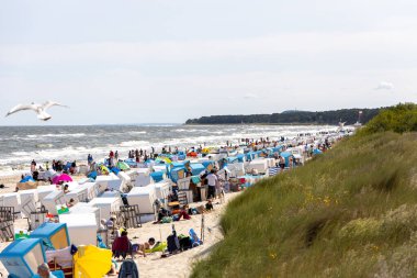 Yazın birçok plaj sandalyesi olan Kullanım Adası 'ndaki Zempin plajı manzarası.