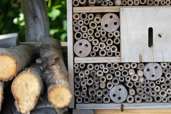 An insect hotel for bees, wasps and other insects made of old wood.