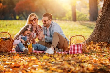 Parkta neşeli bir aile pikniği. Aile pikniği. Güneşli bir günde aile pikniği..