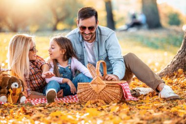 Mutlu aile güneşli yaz gününde parkta piknik yapıyor. Mutlu bir aile kavramı..