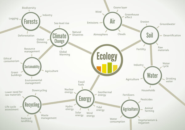 Сеть соответствующих экологических терминов
