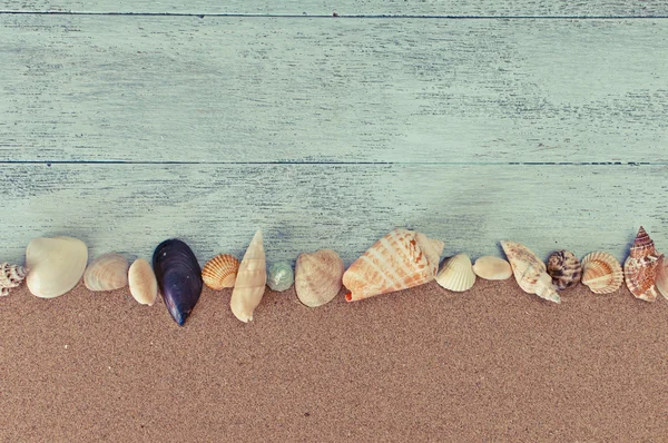 Muscheln auf Sand am Strand — Stockfoto