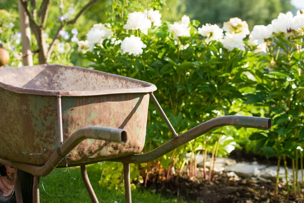 Roestige tuinieren wiel barrow in een tuin — Stockfoto